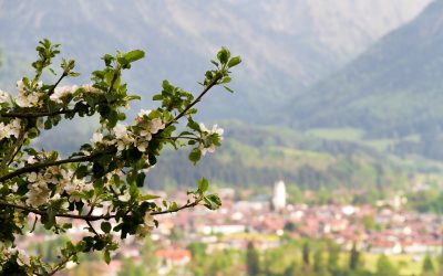 Frühlingserwachen in Oberstdorf und im Kleinwalsertal